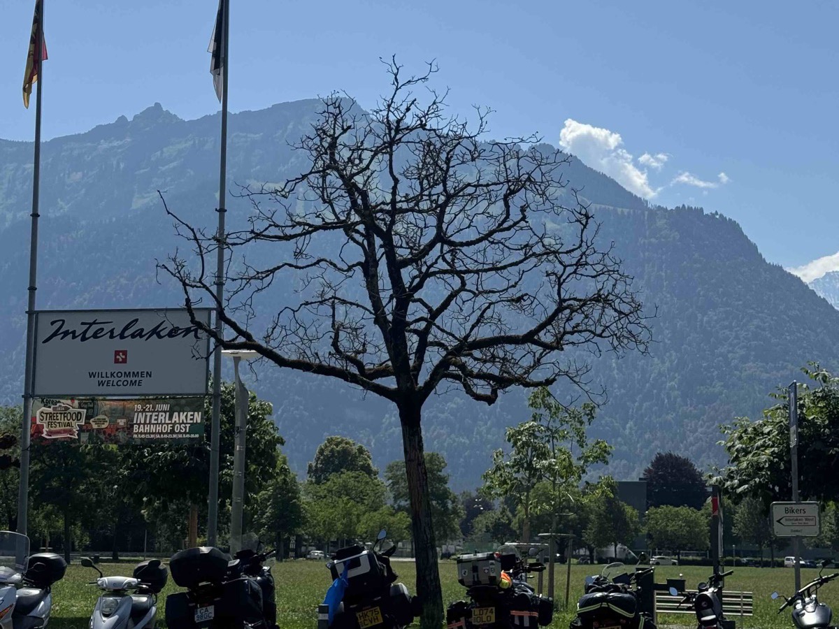 A row of motorbikes parked at the kerb in front of the Interlaken welcome sign and Swiss flags, a leafless tree in the middle of the green, and the forested Bernese peaks rising behind under a bright blue sky
